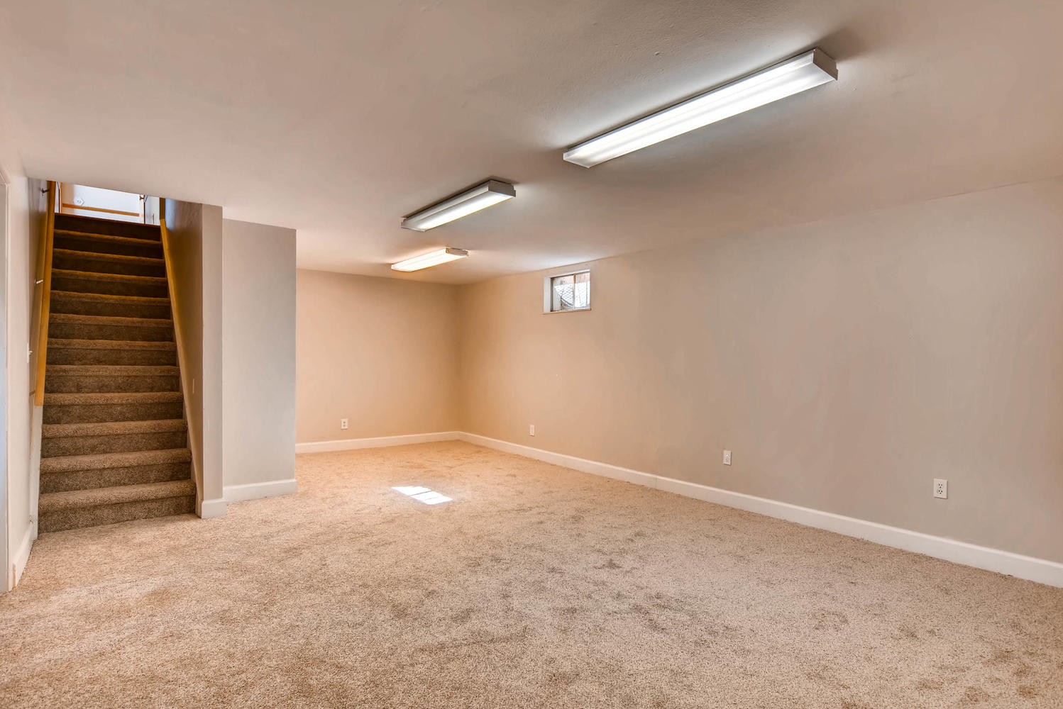 Real Estate Listing: 8305 Mitze Way Denver Finished Basement