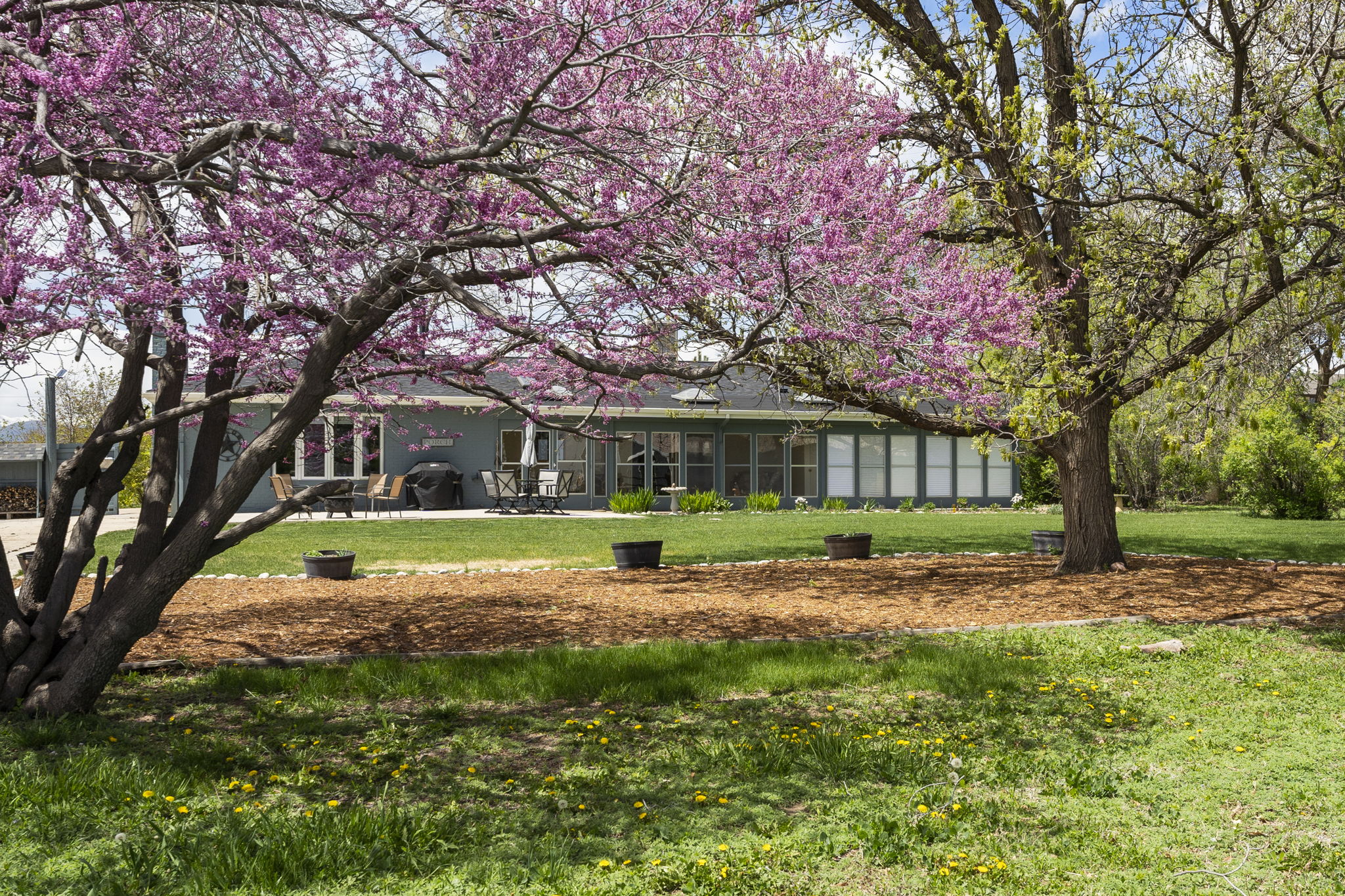 REAL ESTATE LISTING: 12566 County Road 1 Longmont Back Yard