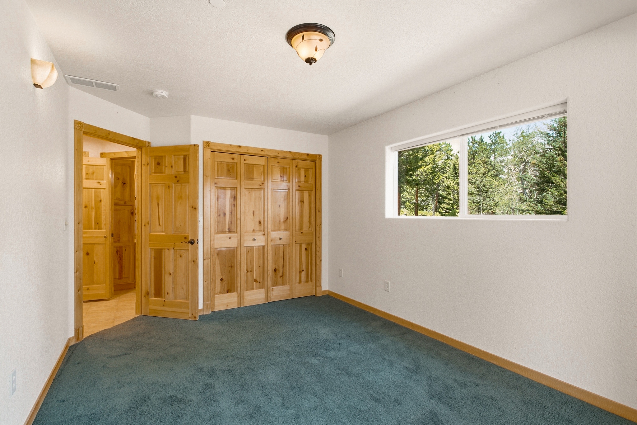 REAL ESTATE LISTING: 221 Rockledge Circle Lyons Basement Bedroom 1
