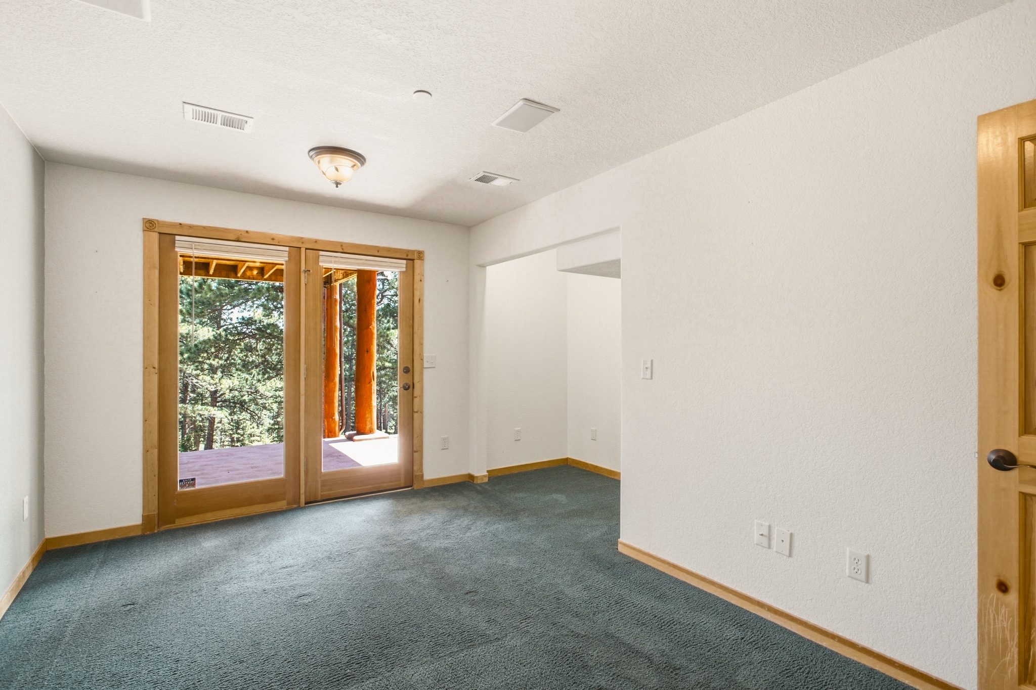 REAL ESTATE LISTING: 221 Rockledge Circle Lyons Basement Bedroom 2